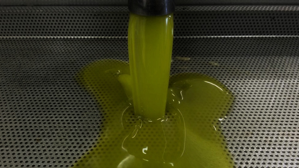 Scopri di più sull'articolo Differenza tra olio extravergine di oliva e olio vergine di oliva