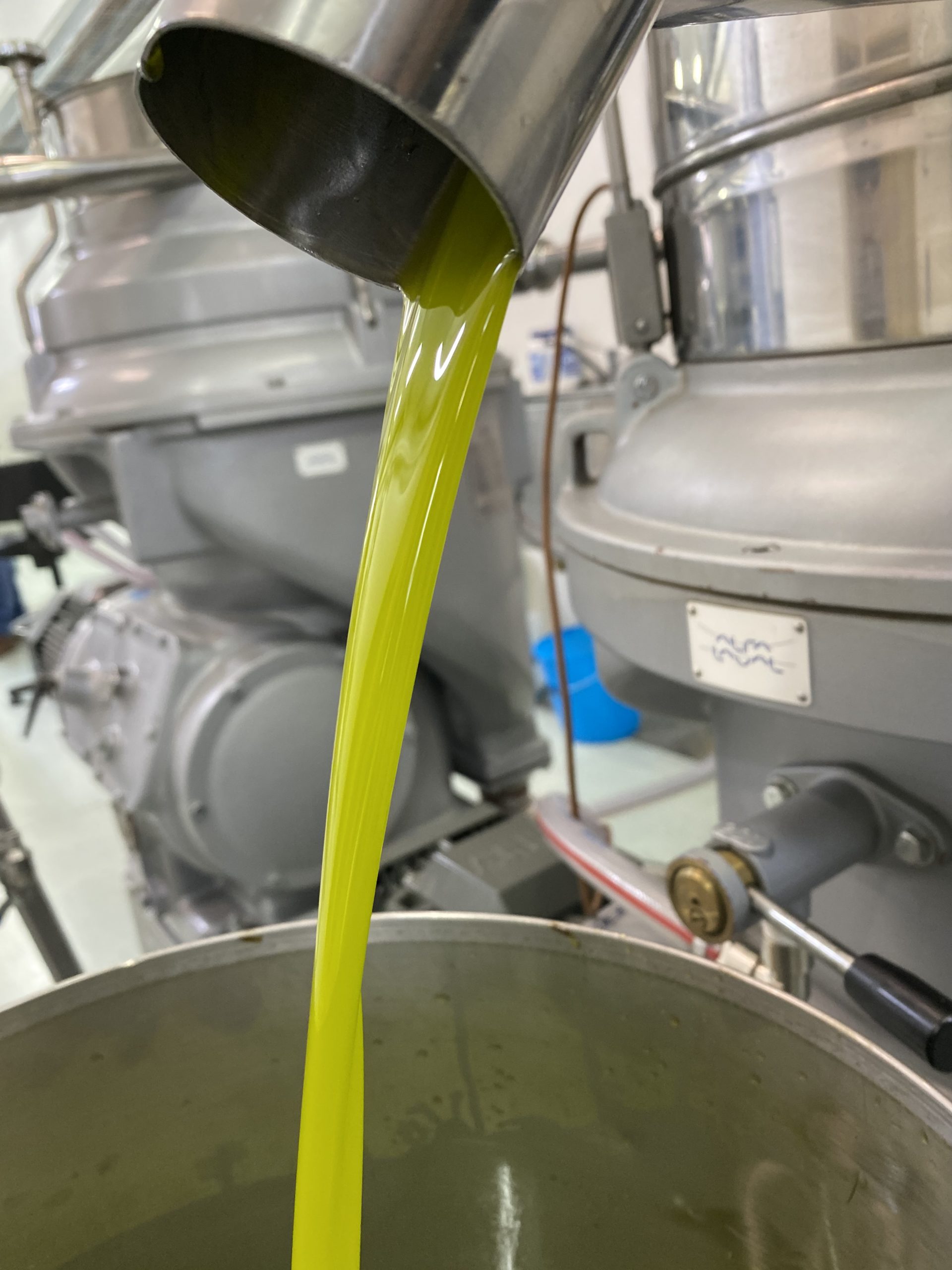 Scopri di più sull'articolo L’olio extravergine di oliva quanto costa?