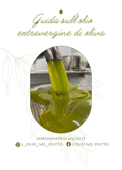 Guida sull’olio extravergine di oliva