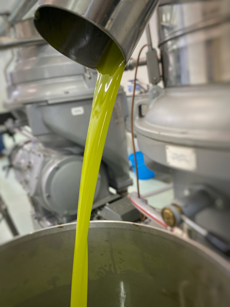 Scopri di più sull'articolo Cos’è l’olio extravergine di oliva?