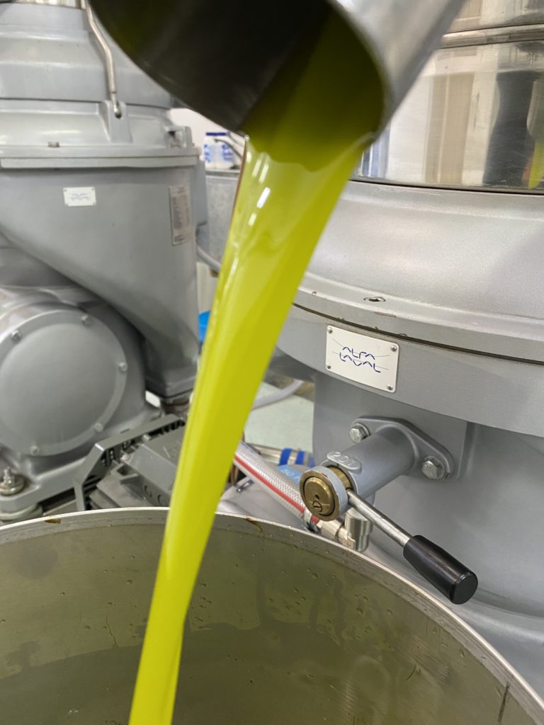 Scopri di più sull'articolo Differenza tra olio extravergine di oliva e olio di oliva